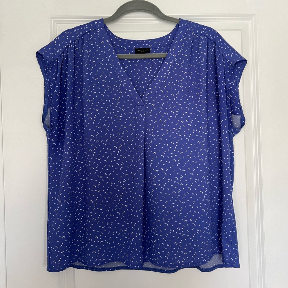 Ann Taylor Factory large blouse